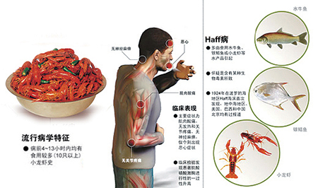 吃小龙虾吃到进急诊，小心“横纹肌溶解症” - 中国日报网