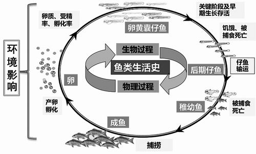 从源头探索近海渔业可持续之路
