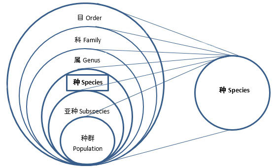 《濒危野生动植物种国际贸易公约》物种概念的内涵与外延