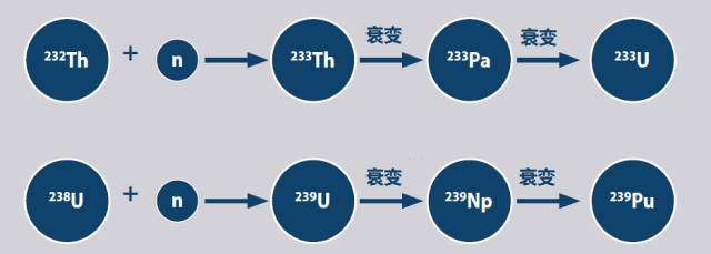 钍铀转换链和铀钚转换链