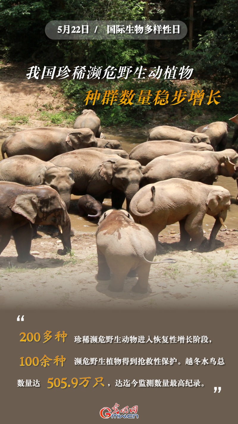 国际生物多样性日｜“数读”我国珍稀濒危野生动植物保护成绩单