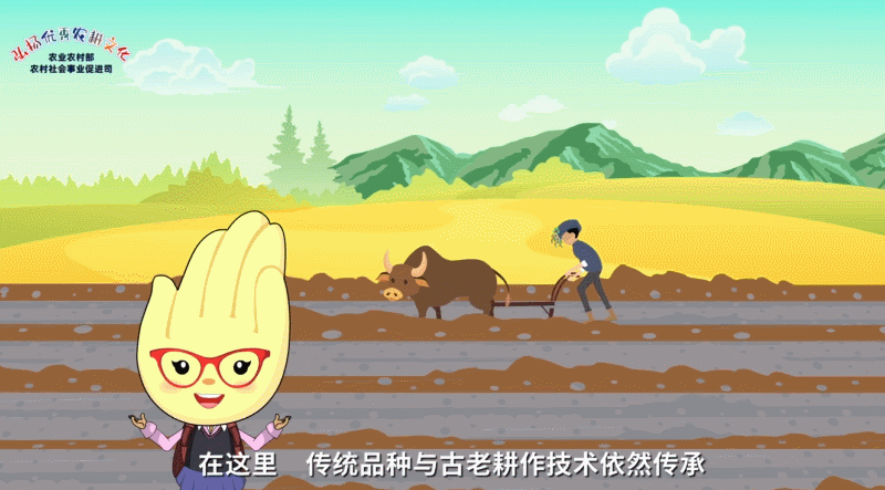 【中国重要农业文化遗产】云南剑川稻麦复种系统