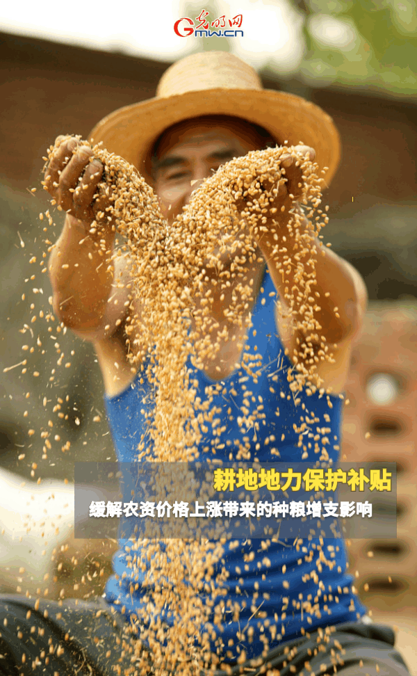 【动态海报】保障全年粮食丰收，这些支持政策明确了！