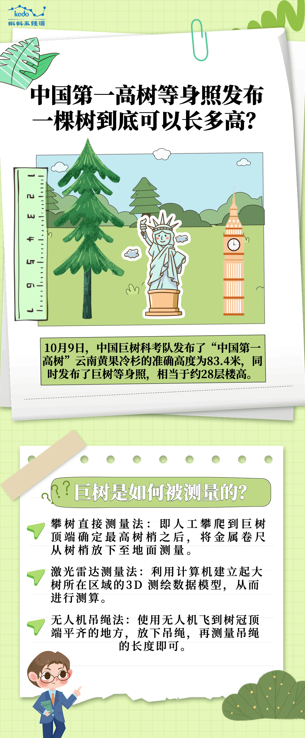 长图 | 中国第一高树等身照发布 一棵树到底可以长多高？