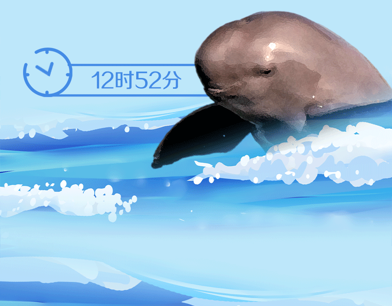 手绘长图丨一只江豚的生命奇遇