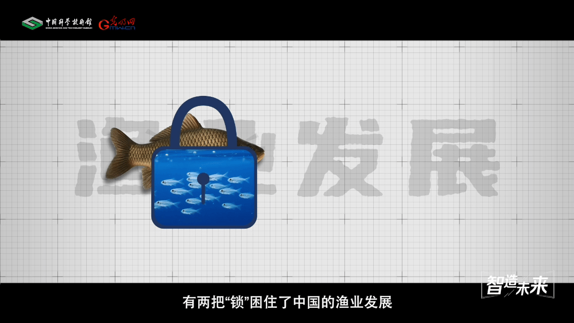 【智造未来】蓝色粮仓 远缘育新——鱼类远缘杂交技术 【智造未来】蓝色粮仓 远缘育新——鱼类远缘杂交技术