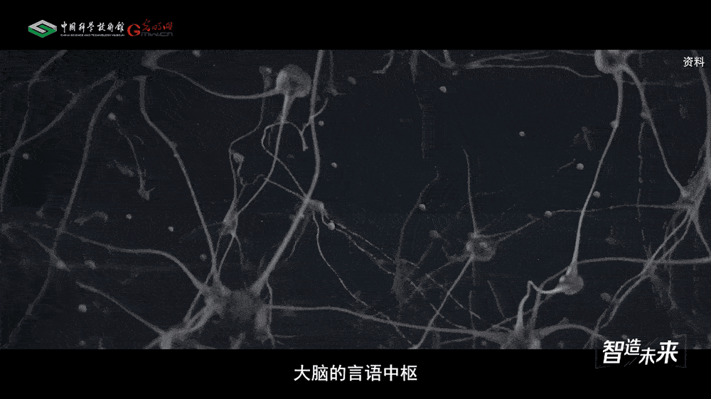 【智造未来】脑机对话 生命重启——“北脑一号”智能脑机系统