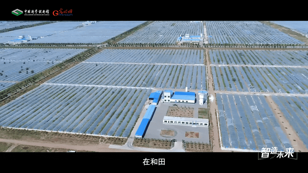 【智造未来】沙漠稻香 科技兴农——沙漠温室水稻快速繁育技术