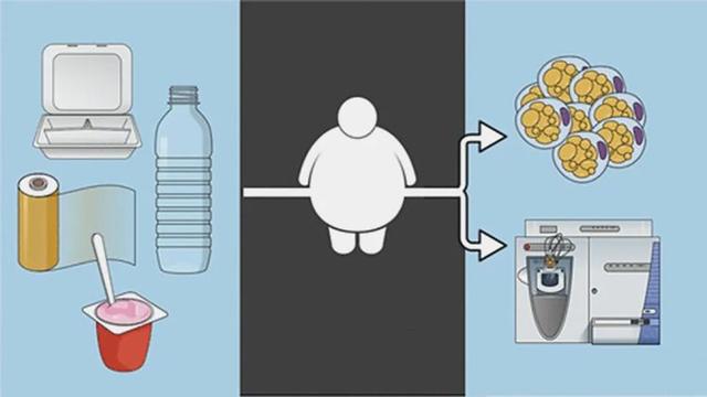 当心！塑料消费品可能导致肥胖