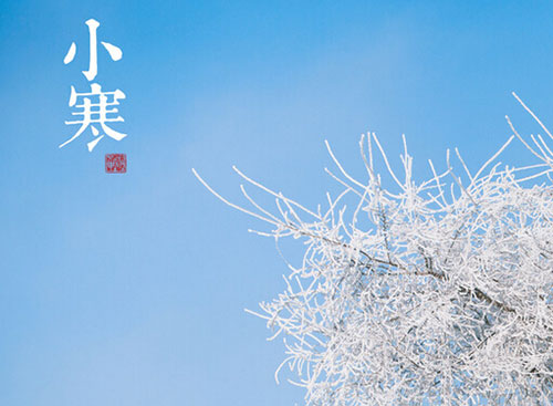 小寒—鹊始巢，梅始开