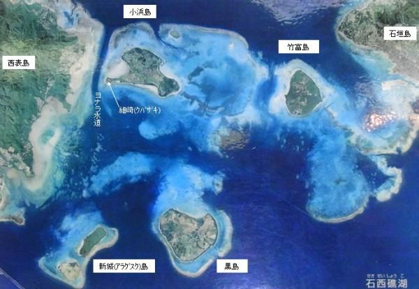 海水升温致日本最大珊瑚礁群约七成珊瑚死亡