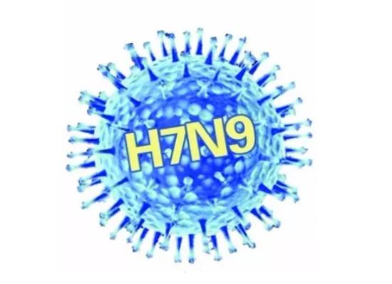 H7N9禽流感高发 专家：应避免接触活禽