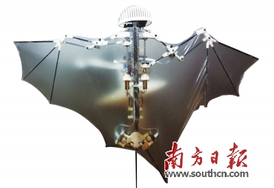 “蝙蝠机器人”能带人类飞得更远吗
