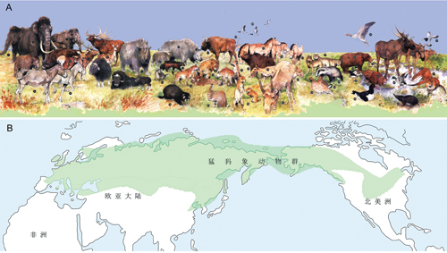 猛犸象动物群——往来于欧亚大陆与北美洲之间的使者