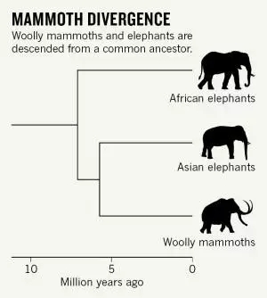 疯狂么？科学家为何要复活已灭绝的长毛猛犸象？