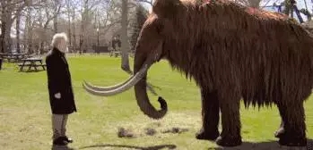疯狂么？科学家为何要复活已灭绝的长毛猛犸象？