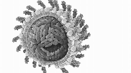 世卫组织发布全球肝炎报告