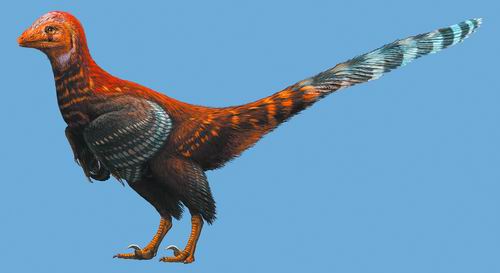 发现古代类鸟恐龙的现代羽毛