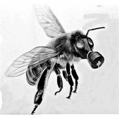 科学家已证明烟碱类农药对蜜蜂飞行有害