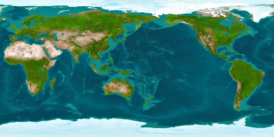 发现地球表面的“隐形”森林 面积相当澳大利亚60%