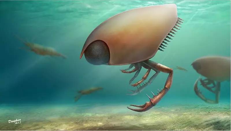 250000000年前的“大眼萌”——巢湖安琪虾