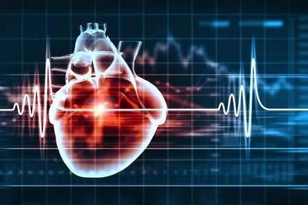 真相揭秘：心脏，真的不长癌吗？