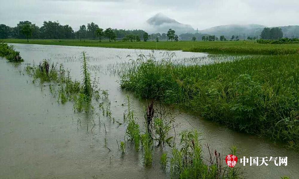 永丰县上溪乡大坪村张家组胡道升屋后山体塌方(摄影:邱文丽)