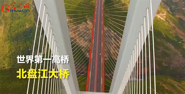 【动科普】“歪果仁”花式点赞，厉害了中国的桥！