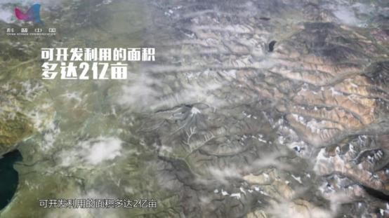 飙英语的袁老研究的海水稻是啥？