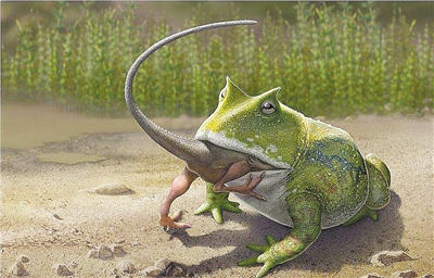史前青蛙真能吃掉恐龙？