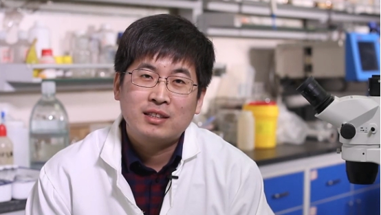 【对话科学家】杜立波：如何给化学元素起中文名字？