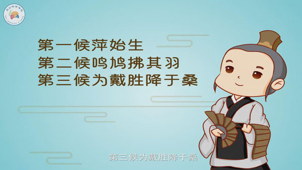 动画|谷雨时节为何要采新茶、吃香椿？