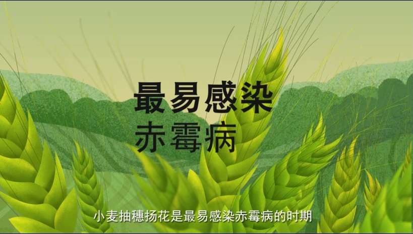 二十四节气与农耕文明系列动画|为何说“立夏看夏”？