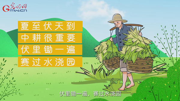 二十四节气与农耕文明系列动画|为何说夏至是耕作的“黄金季节”