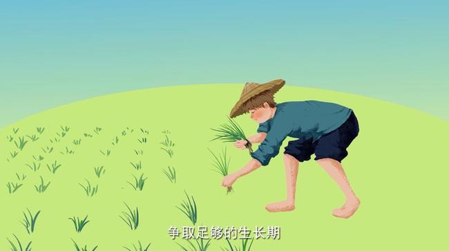 二十四节气与农耕文明系列动画|为何说“大暑雨如金”