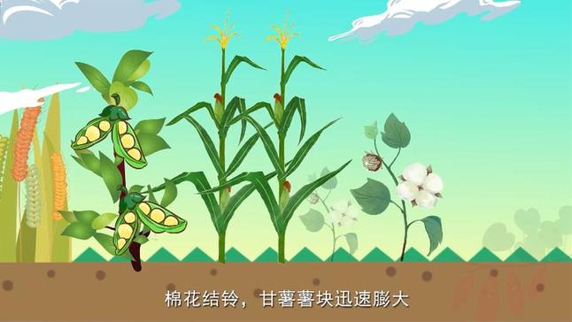 二十四节气与农耕文明系列动画|为何说“立秋有雨样样收”