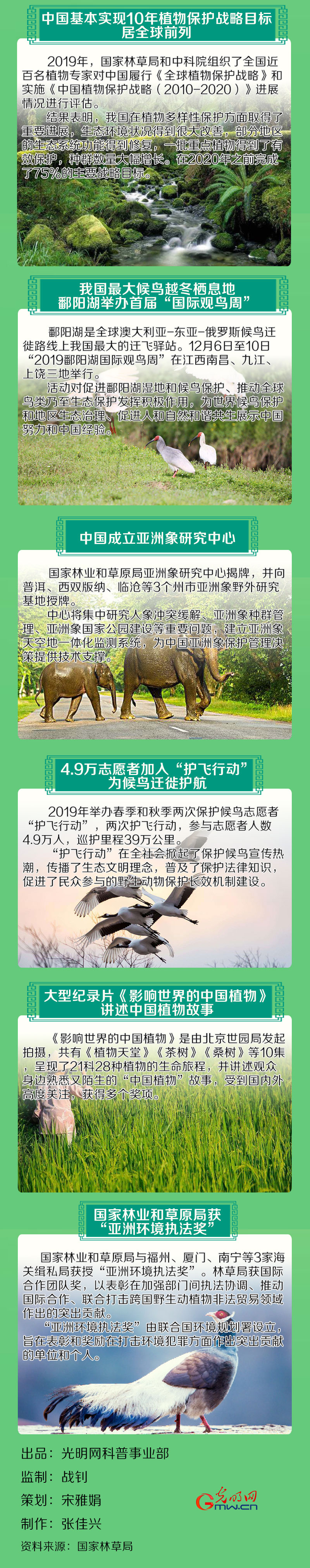 【一图读懂】野生动植物保护 2019年中国干了这十件大事