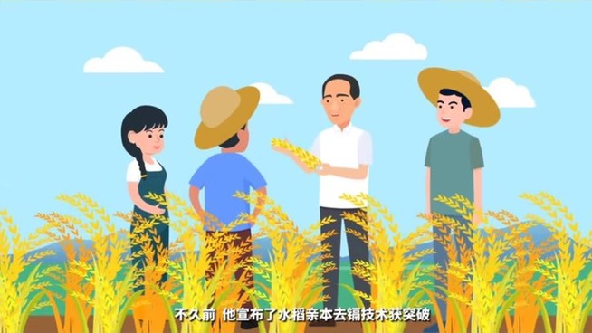 【动科普】基因编辑如何让水稻兼顾安全、味美又健康？