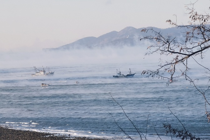 因为太冷，青岛的海面“冒烟了”！