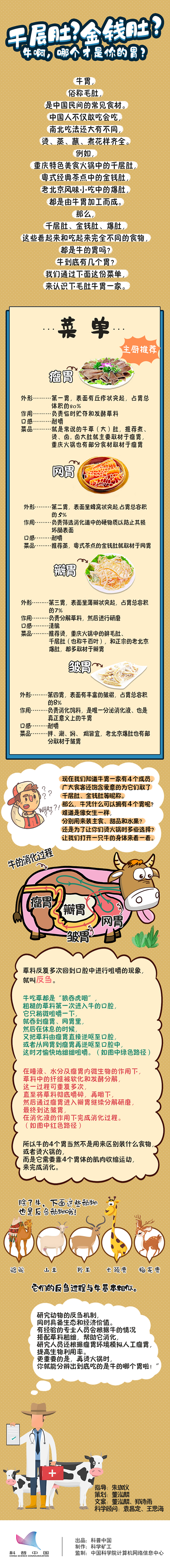 千层肚？金钱肚？都2021，还没搞清楚哪个是牛的胃？