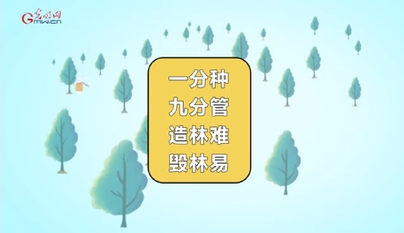 动画｜星星火、万分险！一起学习森林防火三字经