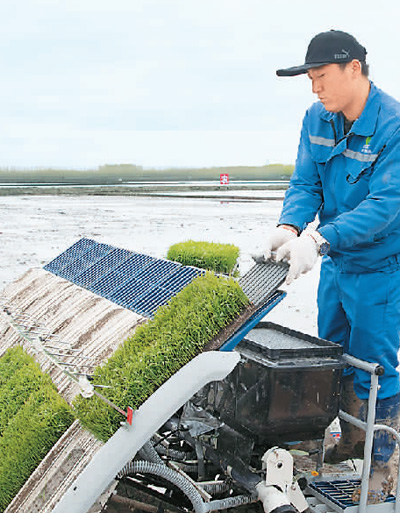 北斗导航助力无人驾驶精准插秧