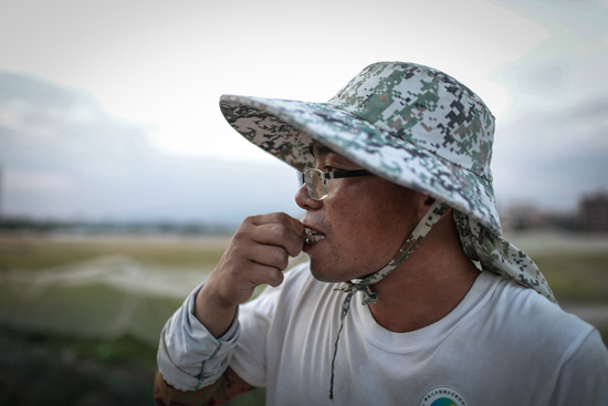 续写“海上”稻田梦