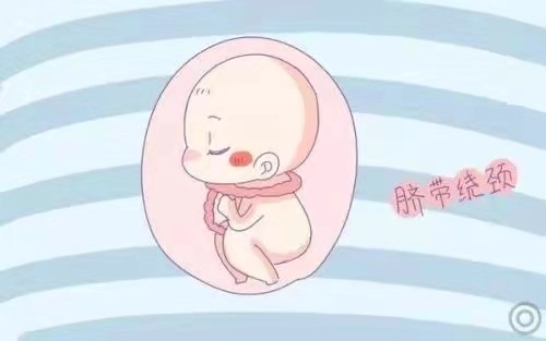 怀孕9个月的胎儿图片图片