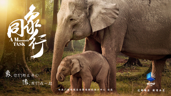 亚洲象北移纪实片《同象行》将在央视首映