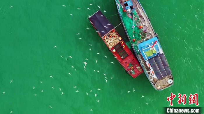 立秋时节鱼儿肥硕 博斯腾湖迎来秋捕黄金季 立秋时节鱼儿肥硕博斯腾湖迎来秋捕黄金季