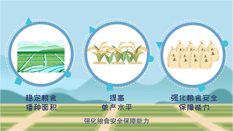 稻田减排甲烷有门道 种植业如何减排固碳？