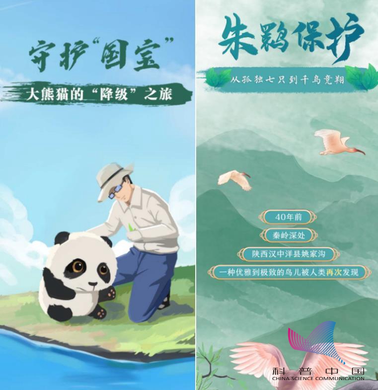 科普中国“画说生物圈”：手绘生物多样性之美 感悟科学家精神