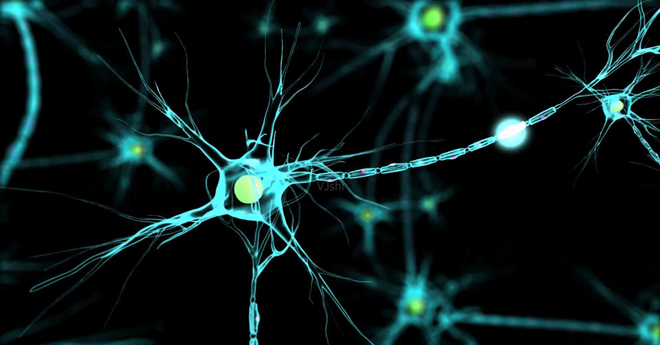 研究发现大脑中的“数学神经元”