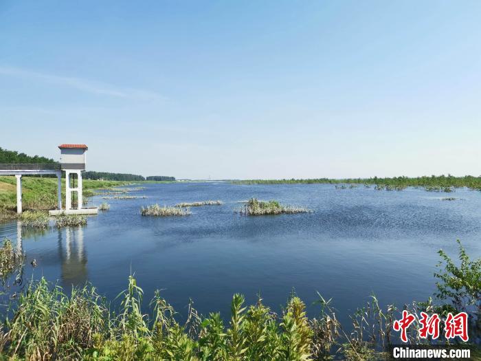 “长江之肾”洞庭湖区如何实现生态经济双“复苏”？